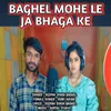 About Baghel Mohe Le Ja Bhaga Ke Song